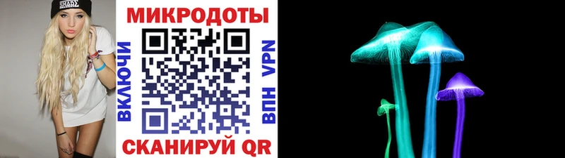 Галлюциногенные грибы Psilocybine cubensis  Северодвинск 